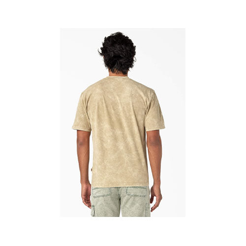 Dickies Men's Newington T-Shirt